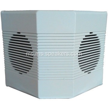 Dual 5 &#39;&#39; PA Penuh Range HiFi Wall Speaker